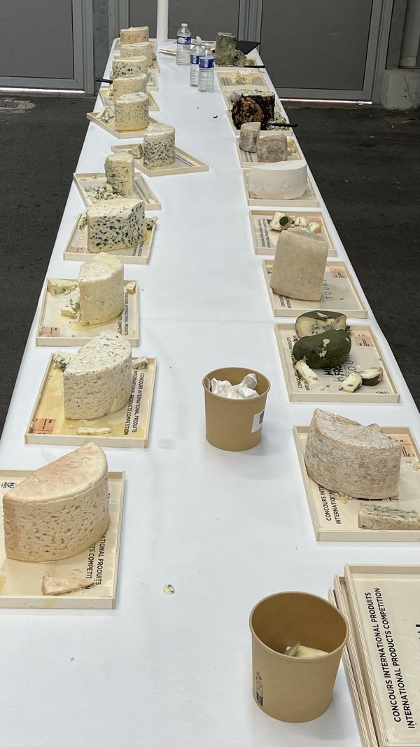 Edelpilz-Käse aus Schafmilch